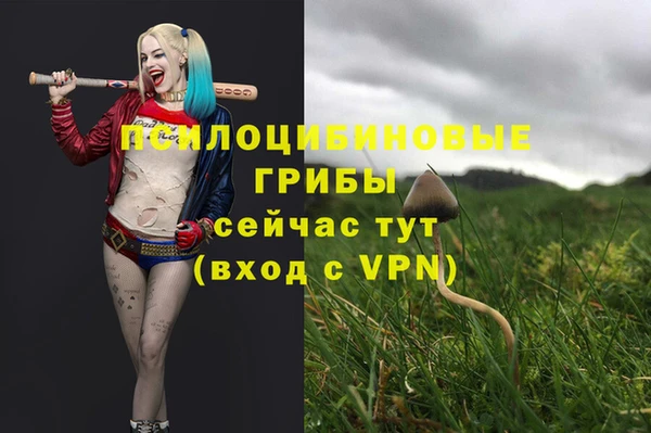 таблы Володарск