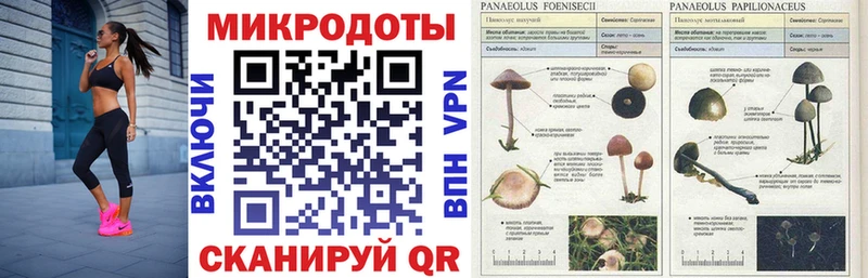 Купить  Верхний Уфалей  Псилоцибиновые грибы Magic Shrooms 